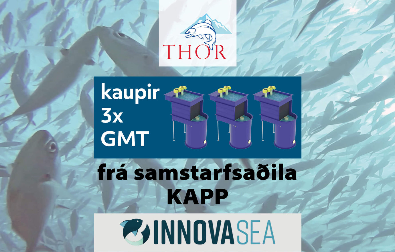 Thor Landeldi kaupir GMT frá Innovasea