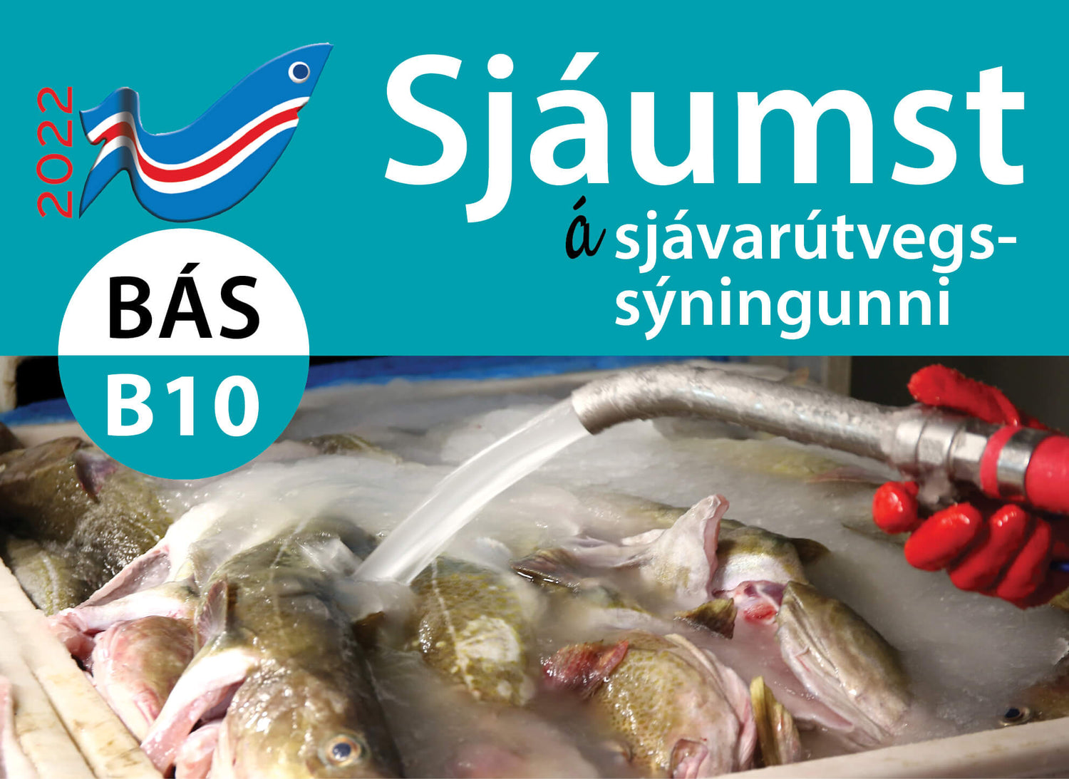 Sjáumst á Sjávarútvegssýningunni í Kópavogi